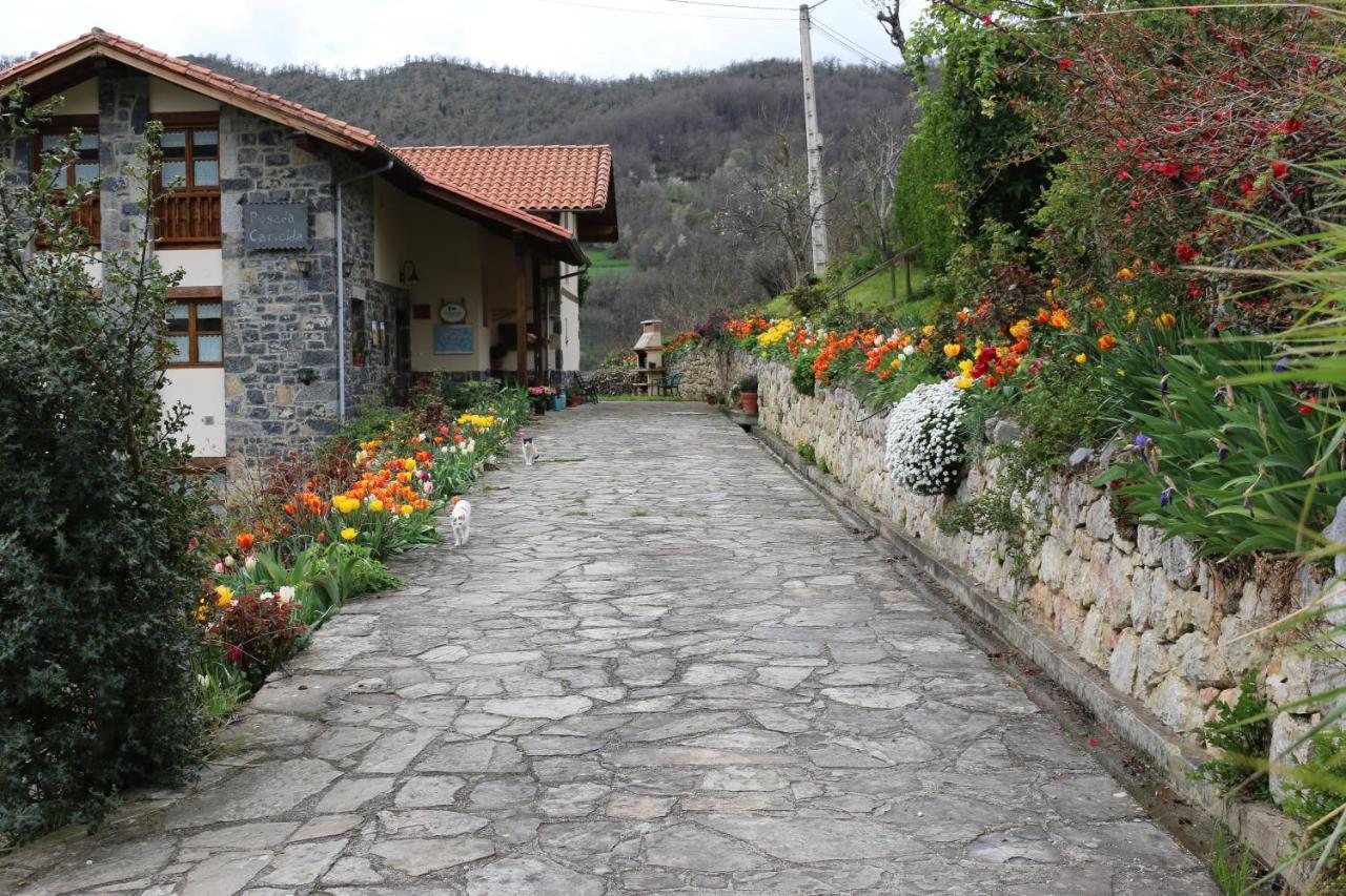 Maison d'hôtes Casa Carielda à Pembes Extérieur photo